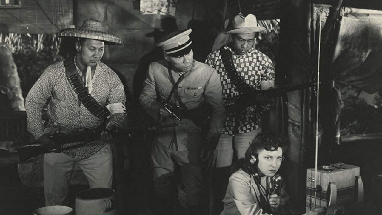 Remember Pearl Harbor backdrop