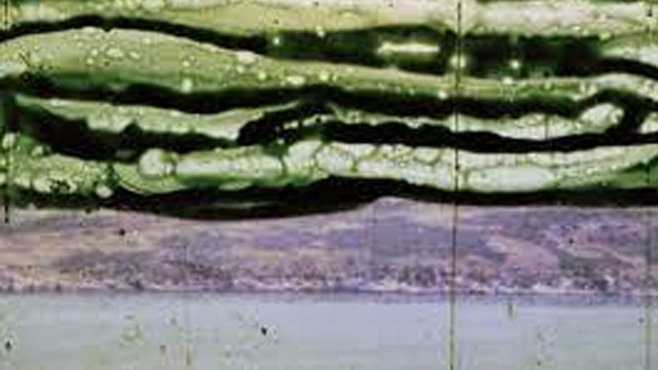 Fragment of a Patagonia Landscape backdrop