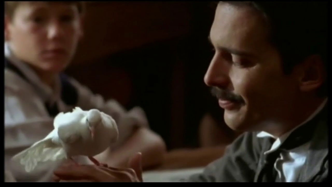 Le Maître qui laissait les enfants rêver backdrop