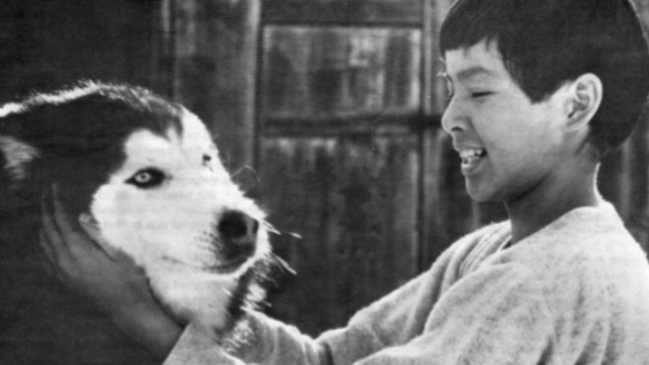 Spirit of the Wind backdrop