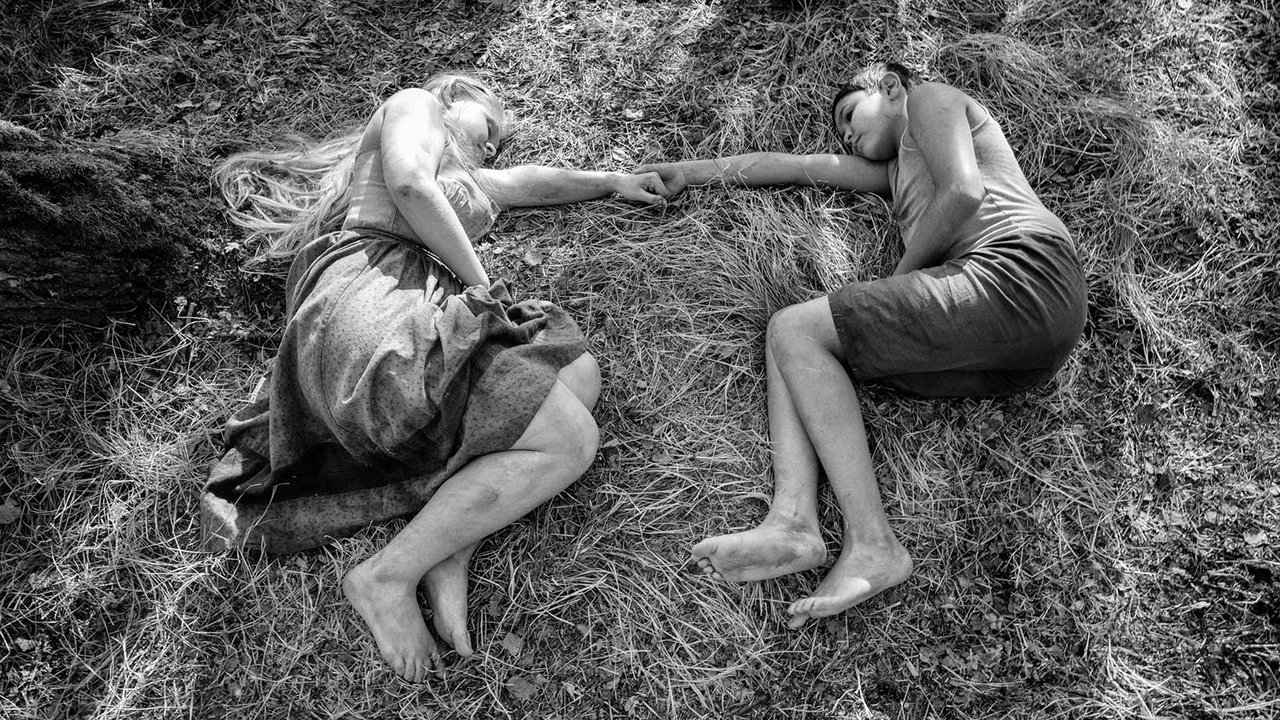 The Painted Bird backdrop