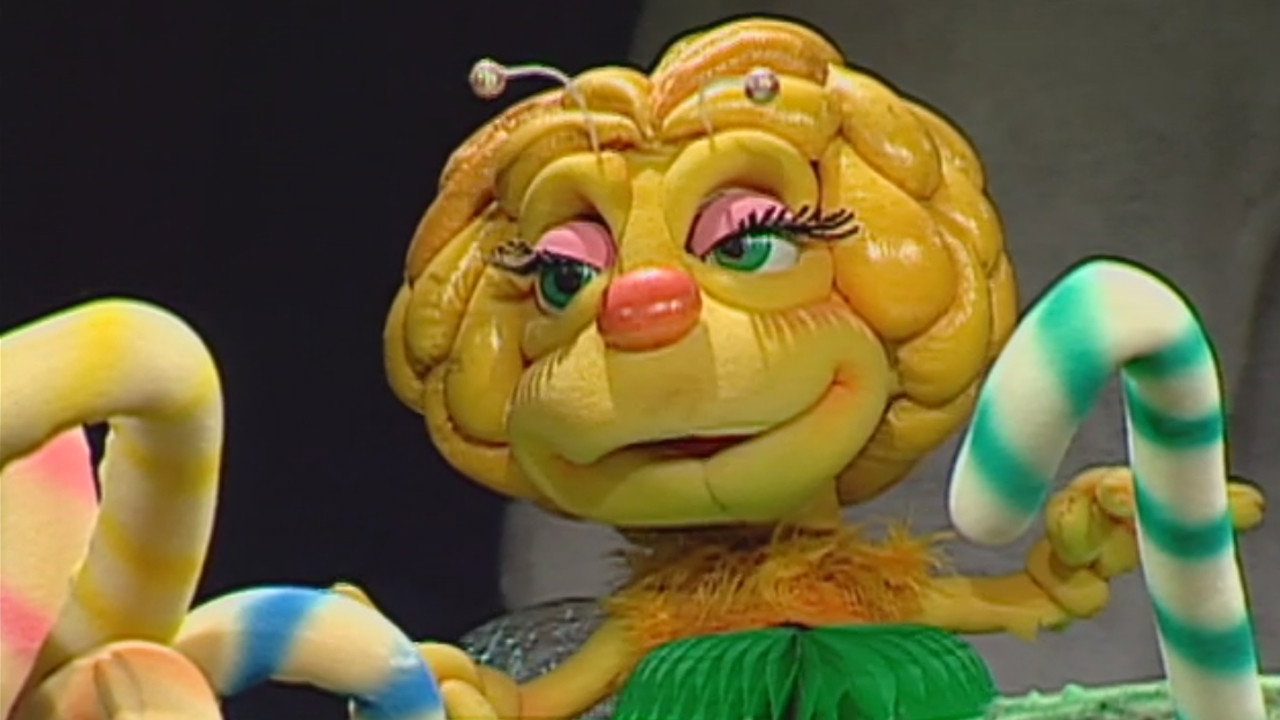 Zuzubalândia backdrop