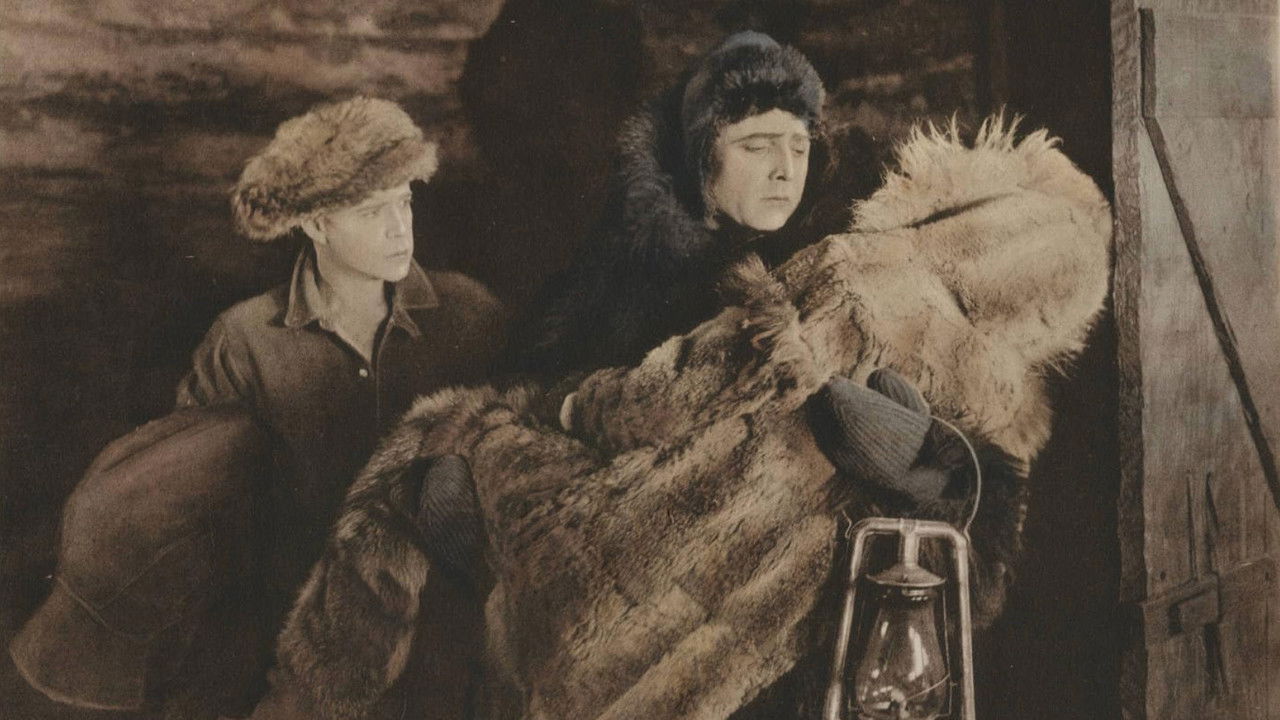 The Drifters backdrop