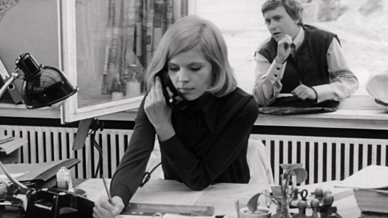 The Dove on the Roof backdrop