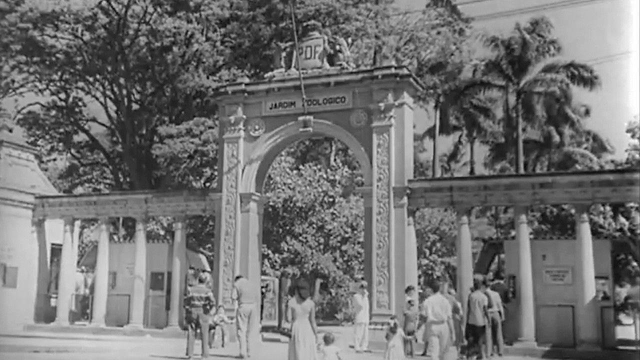 Jardim Zoológico do Rio de Janeiro backdrop
