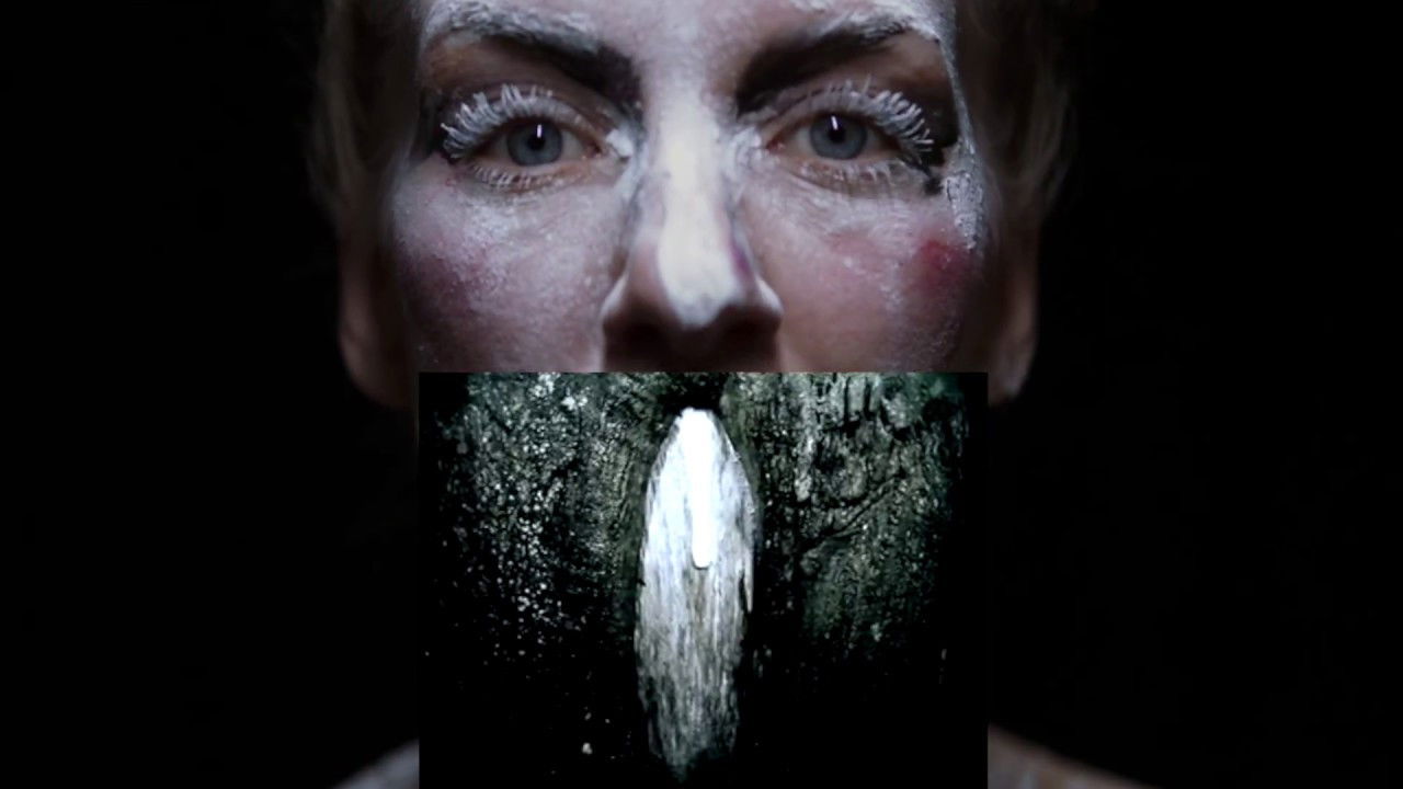 Everyone Afraid to Be Forgotten backdrop