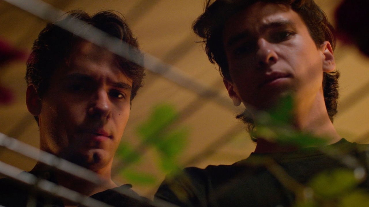 Twice As Shy backdrop