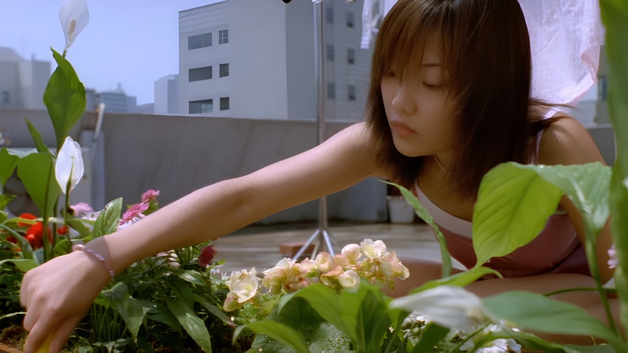 Paradise Villa backdrop