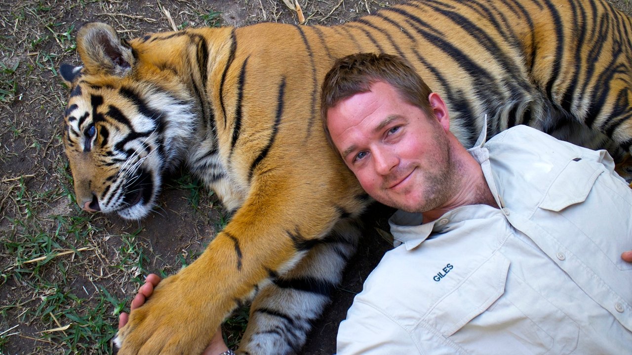 Tigers About the House backdrop