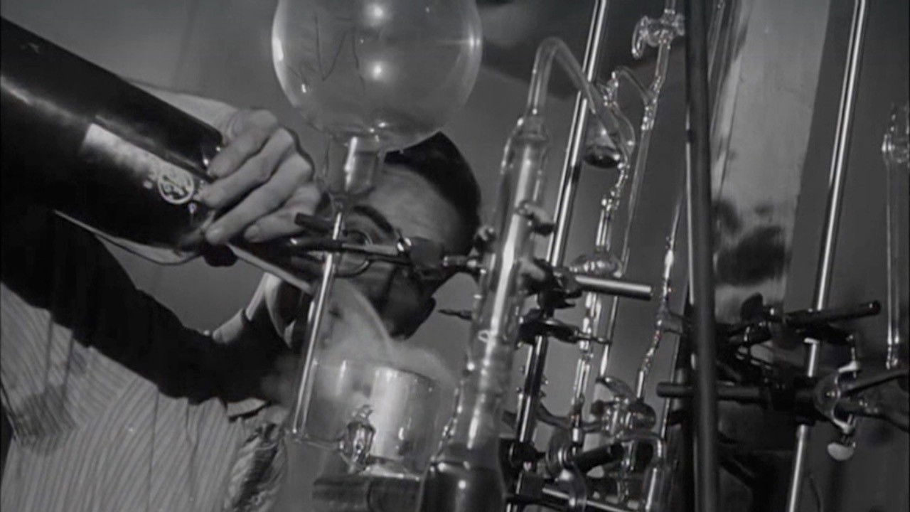 Fortune Seekers backdrop