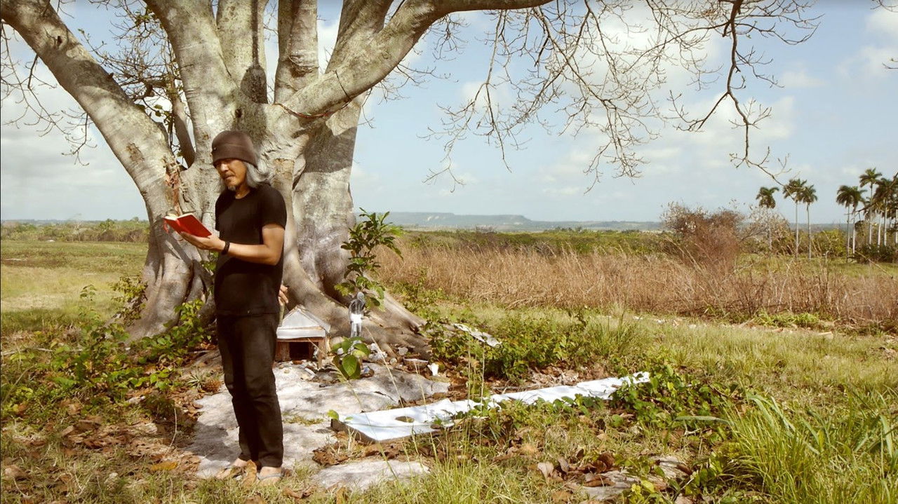 Atravesando el campo backdrop