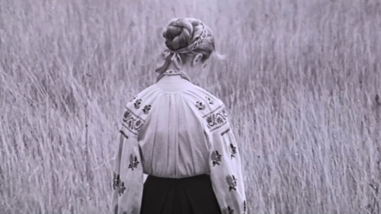 I'm Coming to You... backdrop