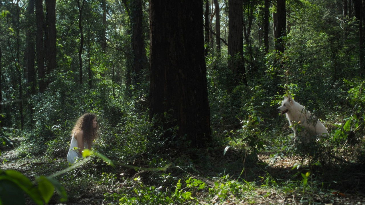 All Silent Dogs backdrop