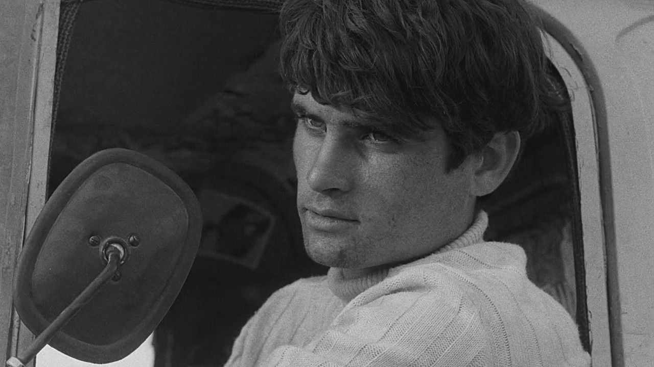 Life in Pink backdrop