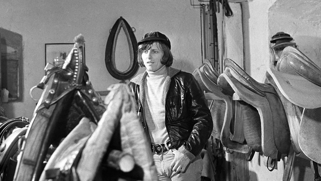 Perla, příběh koně backdrop