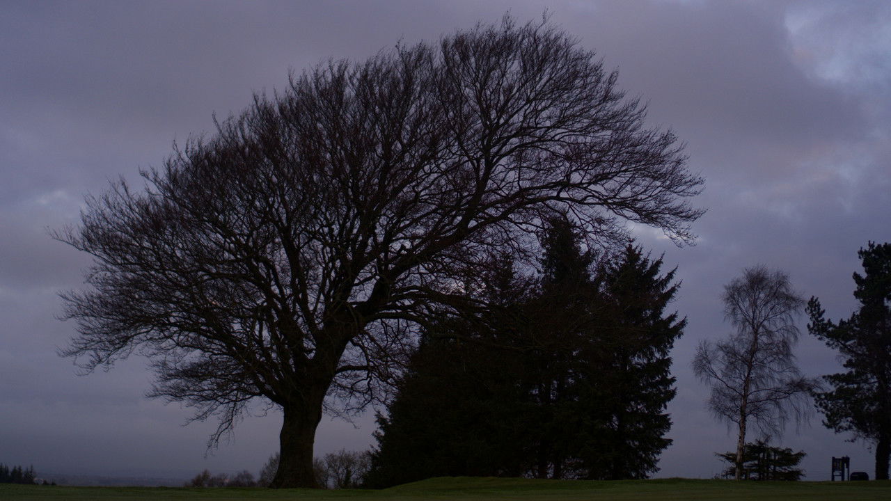 They're All Painted If You Actually Look backdrop