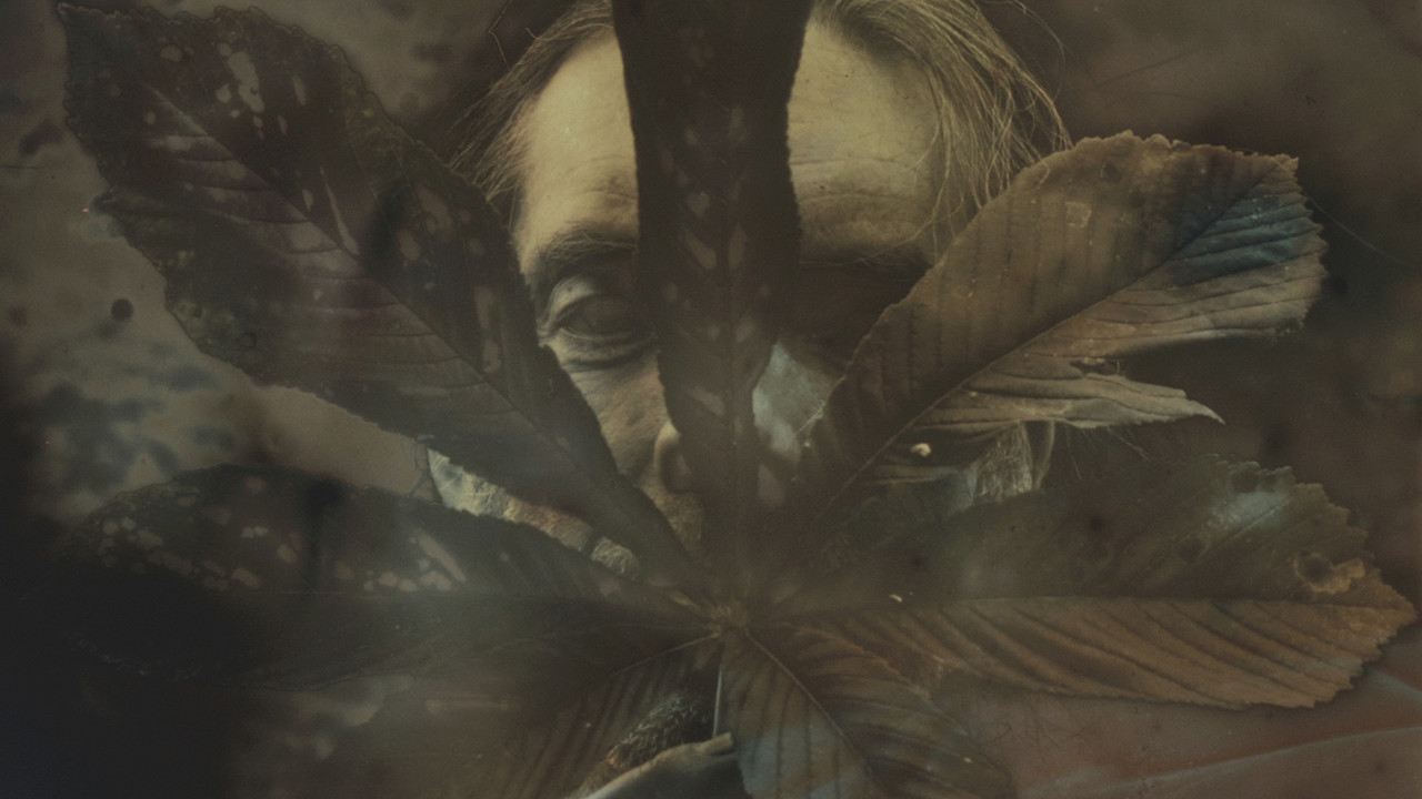 A Patriot of These Woods backdrop