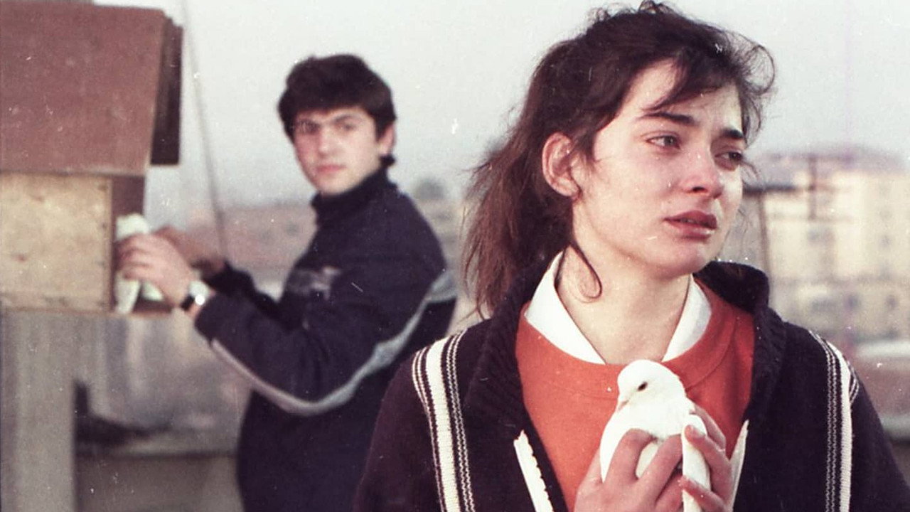 Një djalë edhe një vajzë backdrop