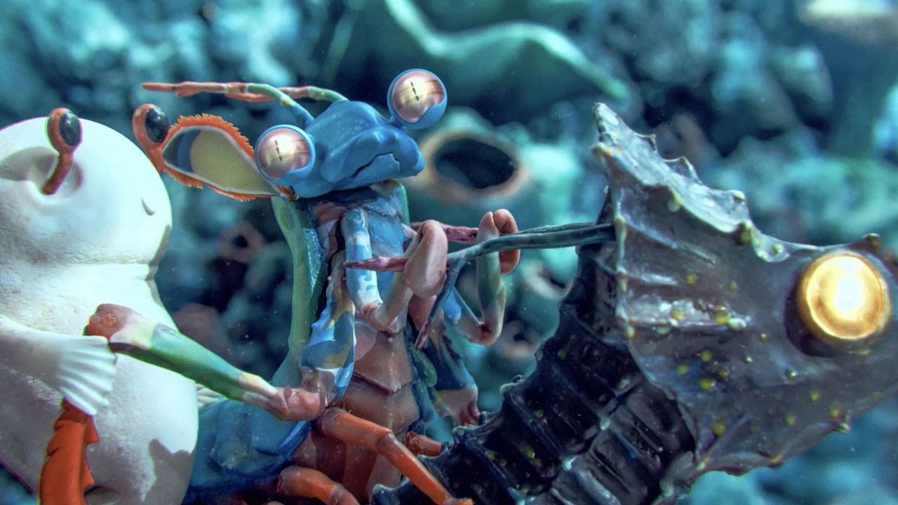 9 Million Colors backdrop