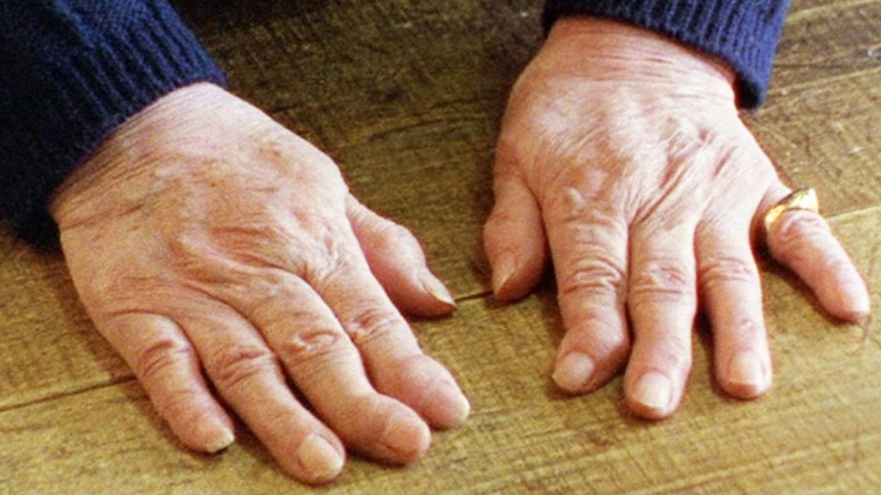 24 portraits d Alain Cavalier backdrop