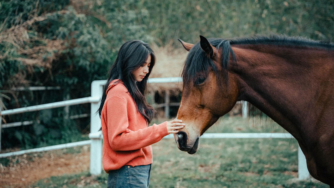 Wild Silence backdrop