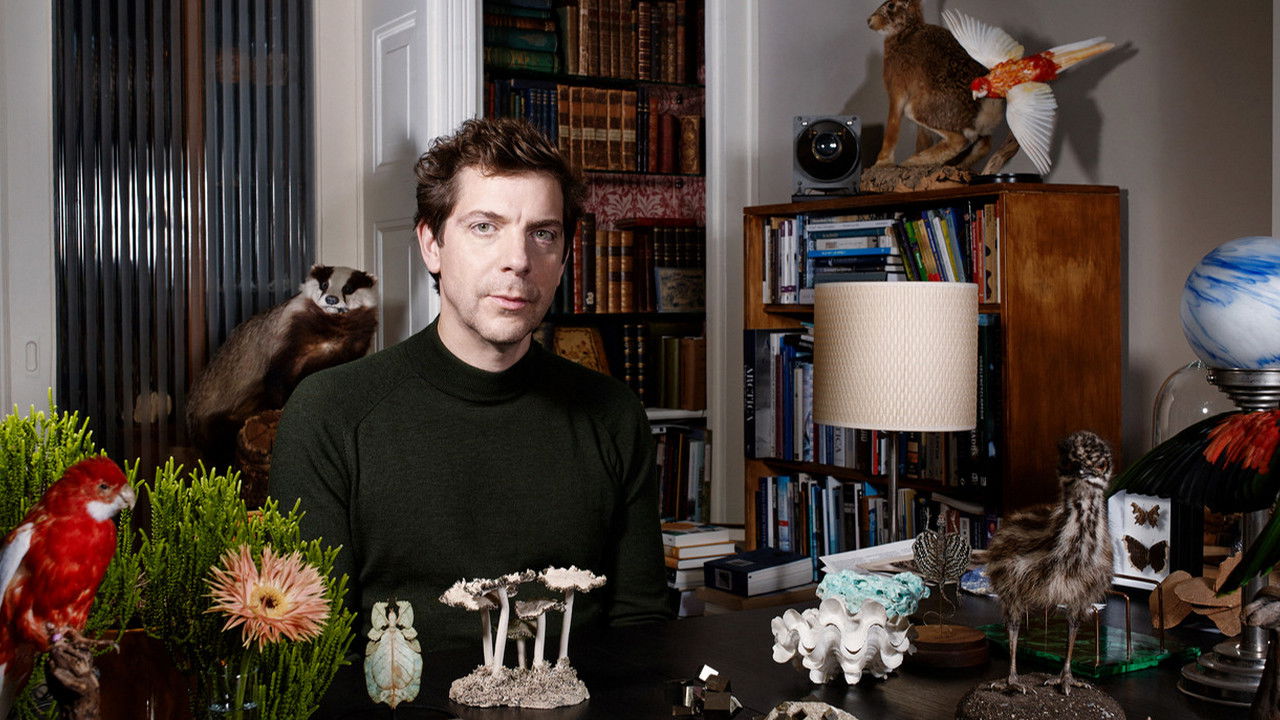 Dr. Nasr's Wunderkammer backdrop