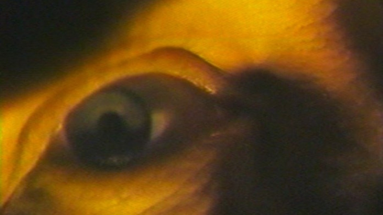 Highway Hypnosis backdrop