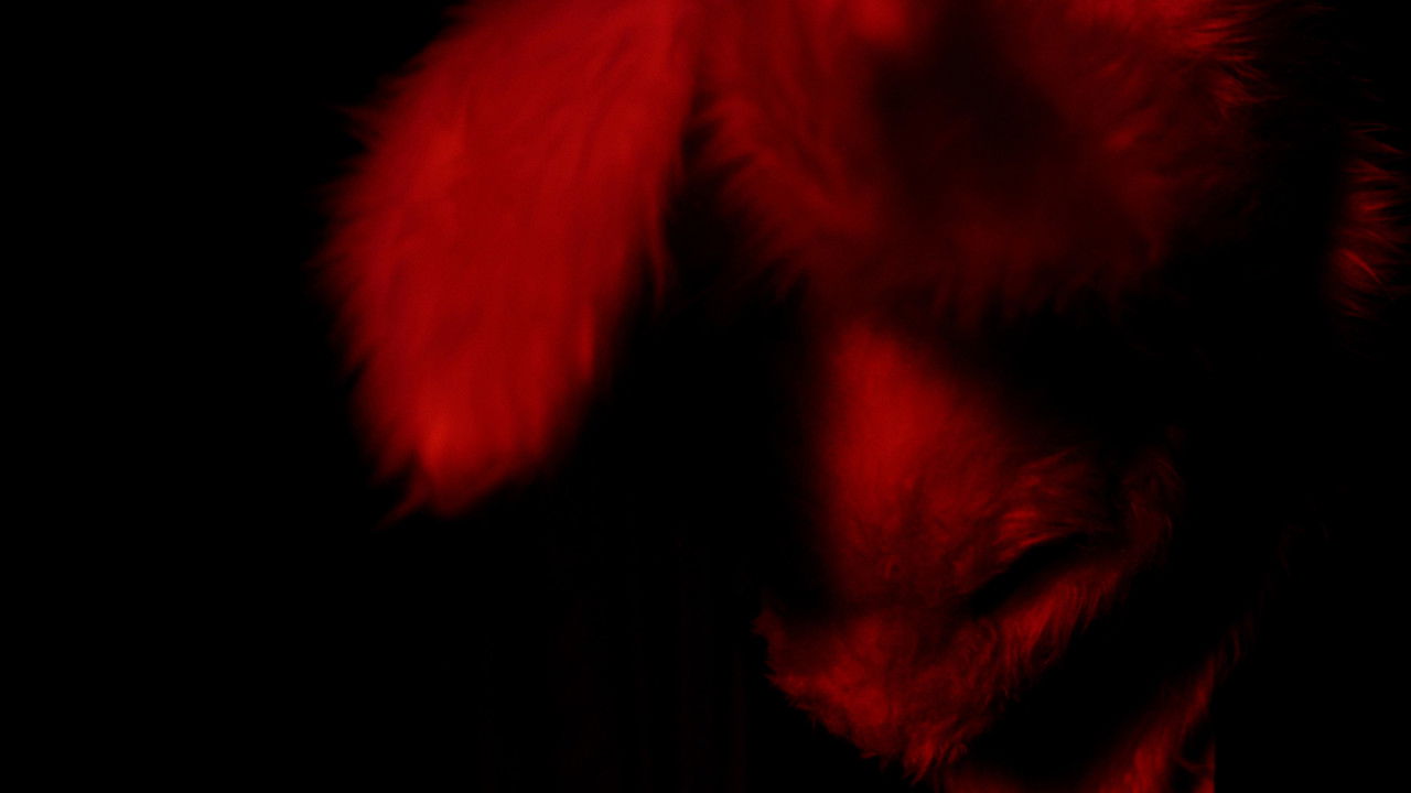 Machines For Living In backdrop