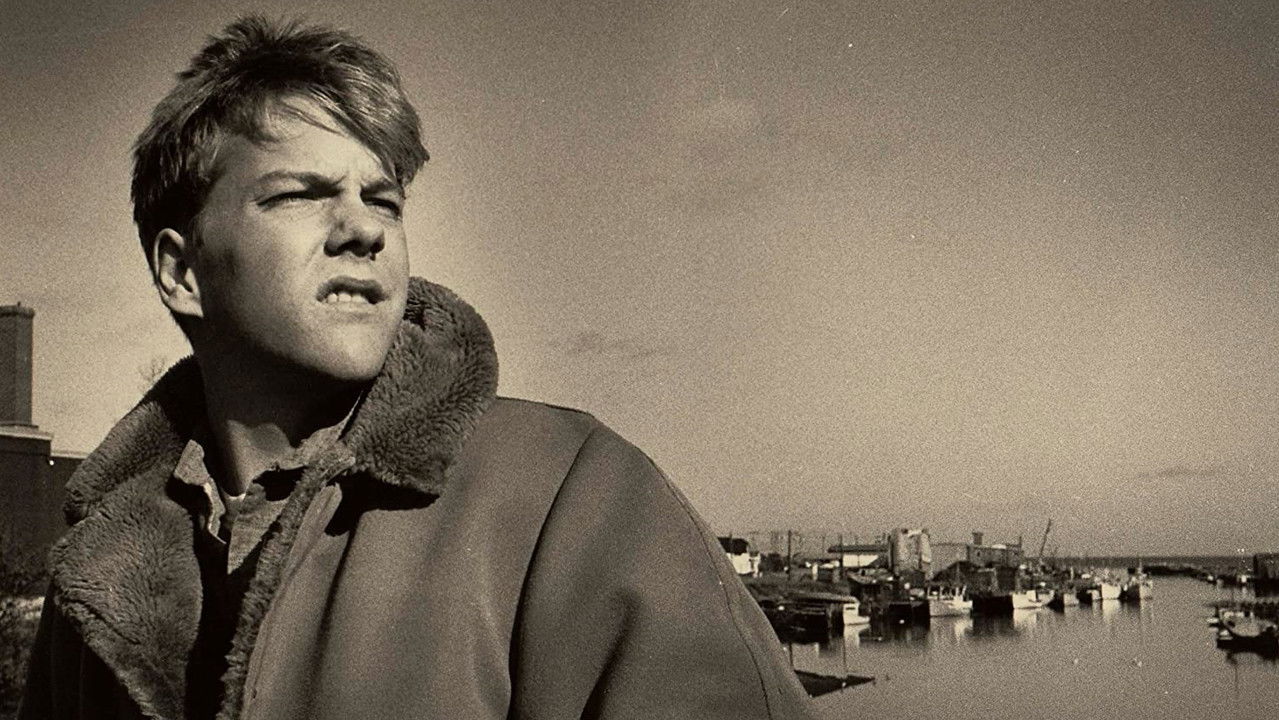 The Bay Boy backdrop