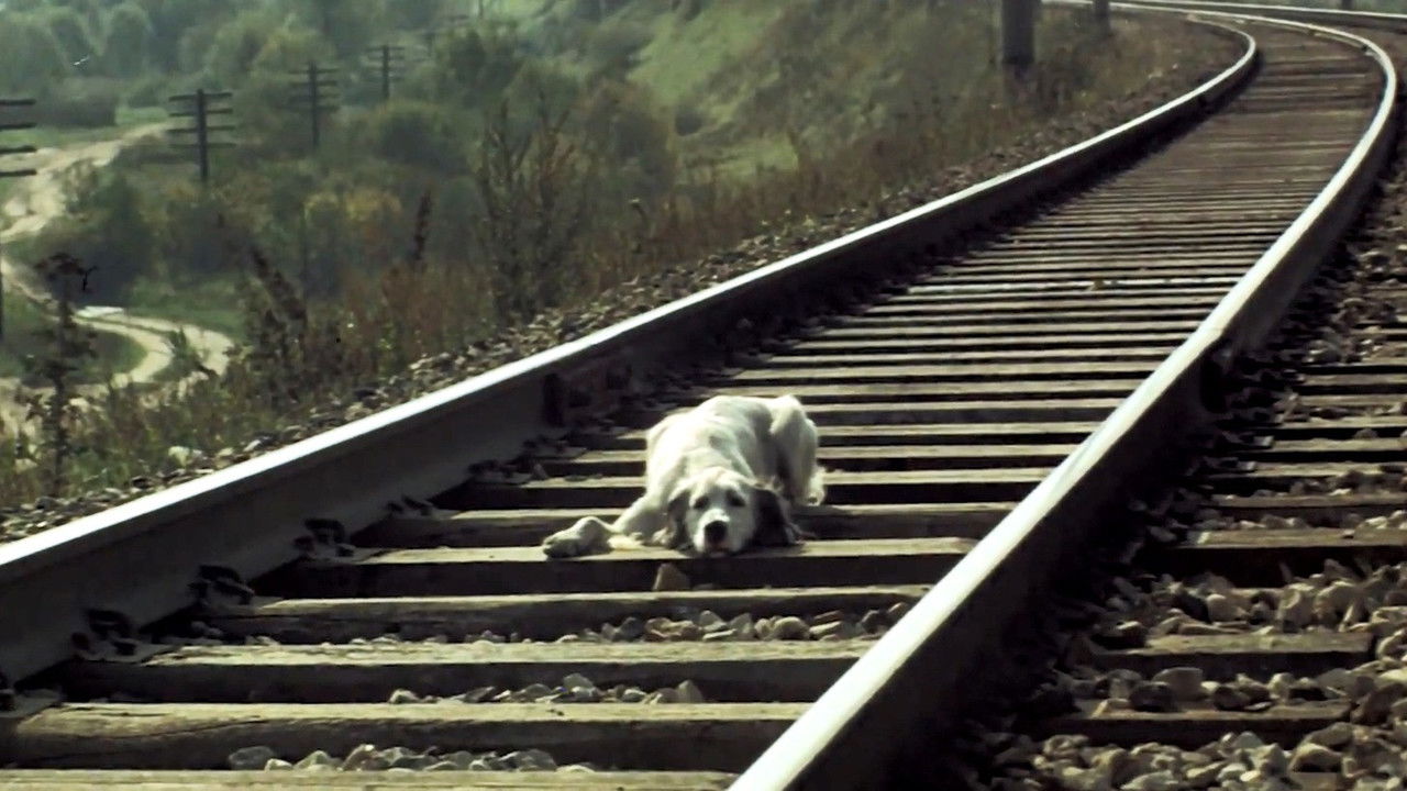 White Bim Black Ear backdrop