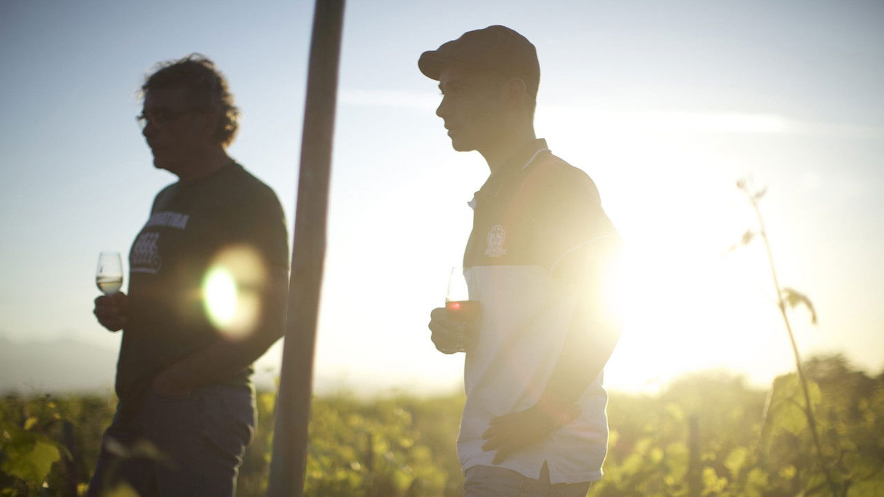 Wine Calling backdrop