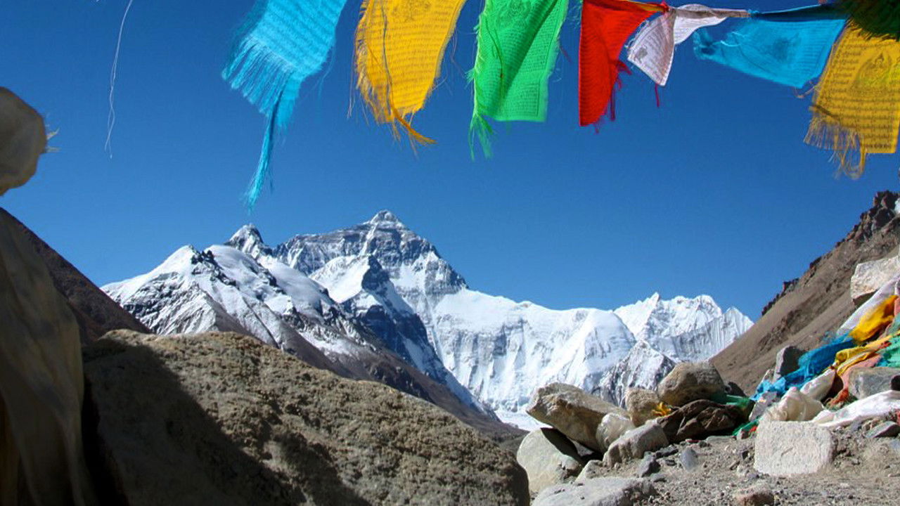 Under The Eye Of Qomolangma backdrop