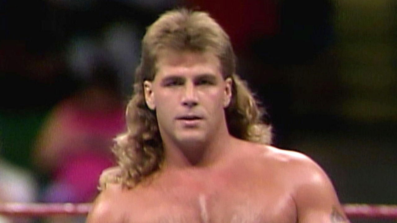 Shawn Michaels: Hits from the Heartbreak Kid backdrop