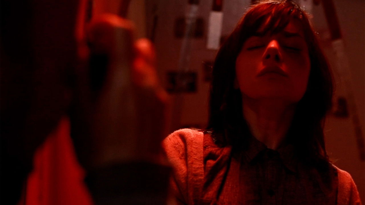 The Written Gaze backdrop