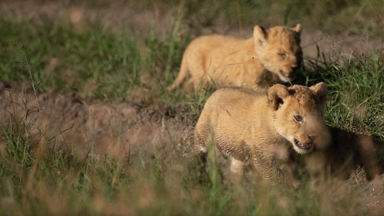 Born Wild: The Next Generation backdrop