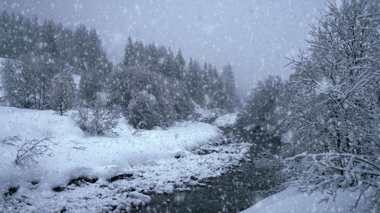 The Search for Snow backdrop