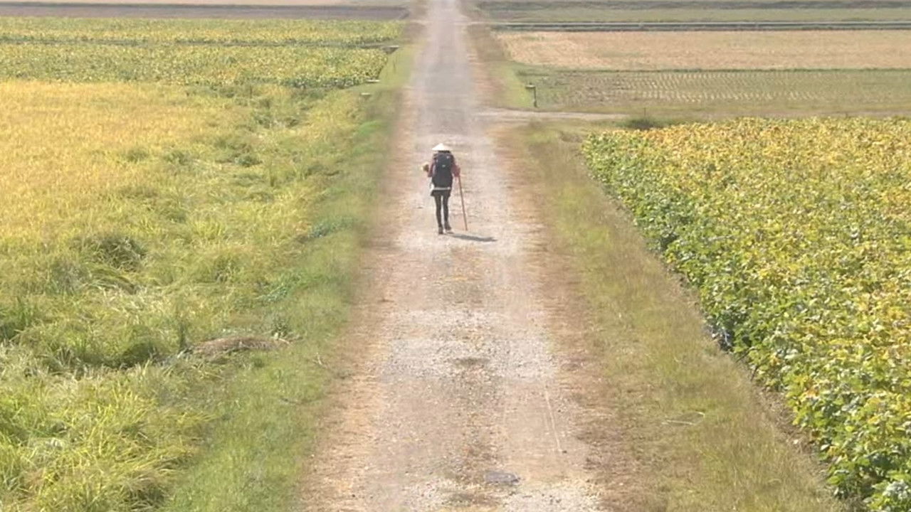 Walk, Walk, Walk ~ Shikoku Pilgrimage Journey backdrop