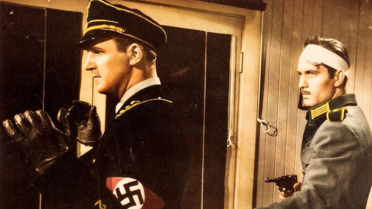 Bomber's Moon backdrop