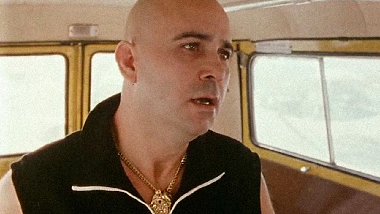 Piovono mucche backdrop