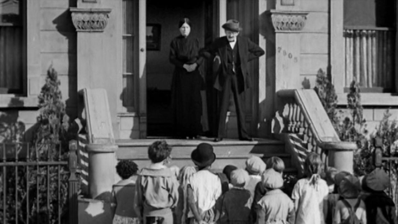 Shrimps for a Day backdrop