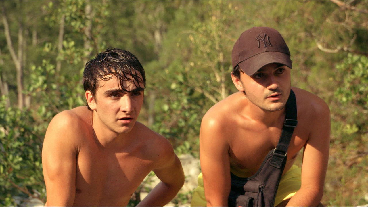 Summer Memories backdrop