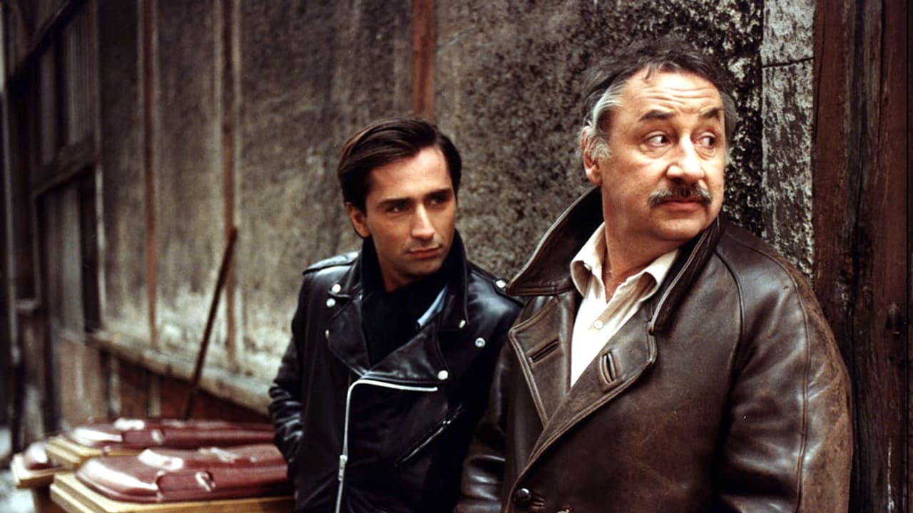 My New Partner backdrop