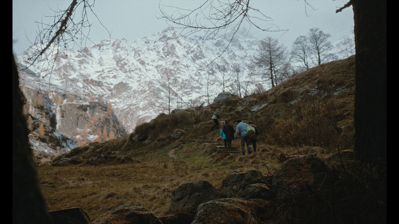 Group Picture backdrop