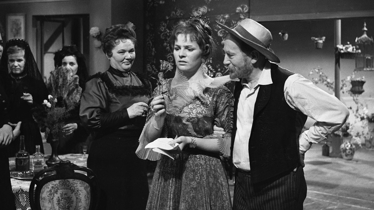 Neprovdaná paní Rosita backdrop