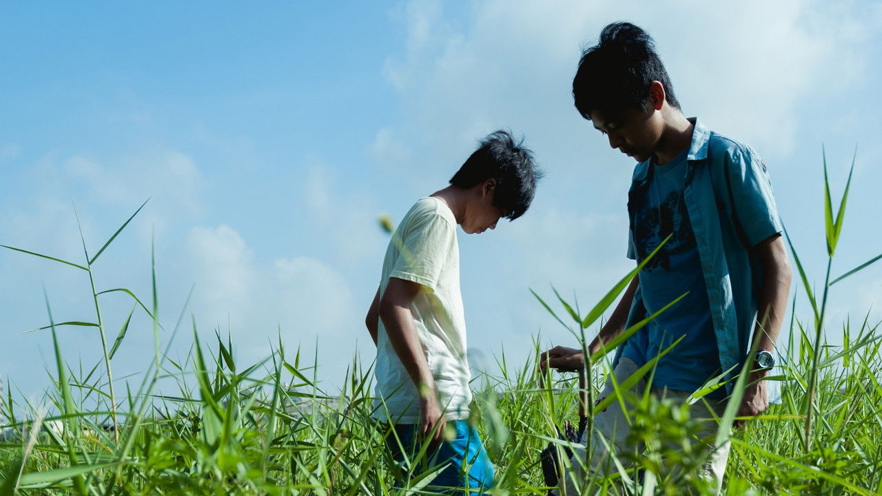 Summer Trifles backdrop