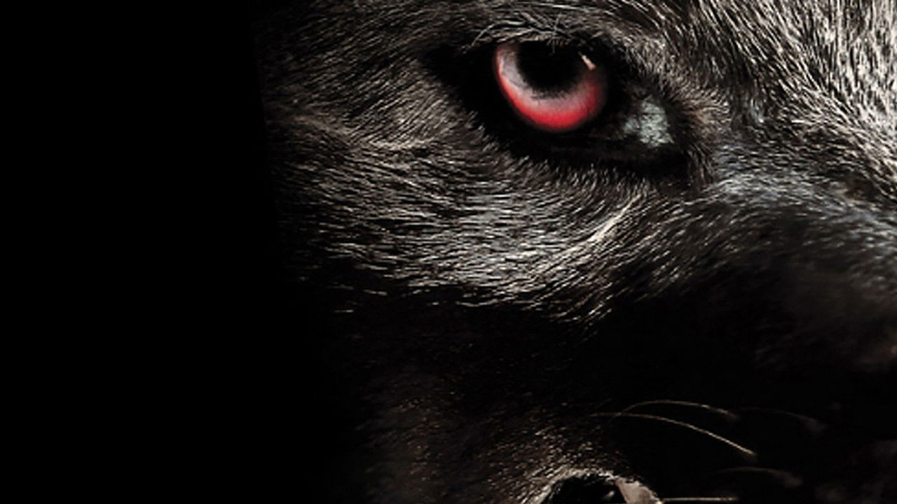 Monsterwolf backdrop