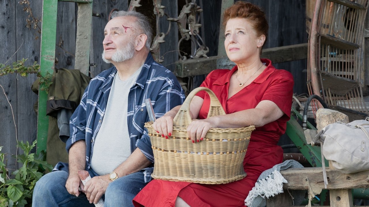 Karli & Marie backdrop