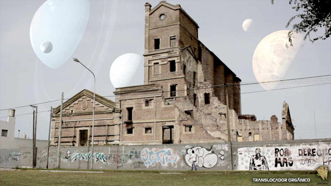 Organic Translocator backdrop