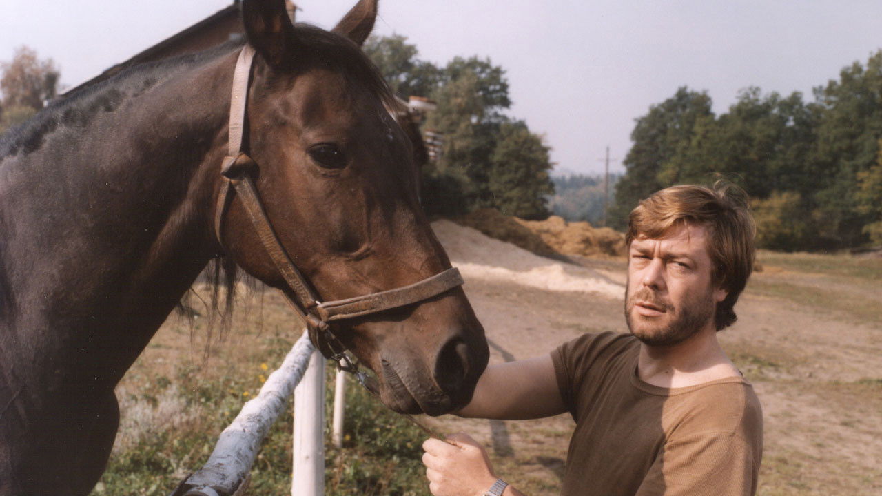 Monika a hříbě s hvězdičkou backdrop