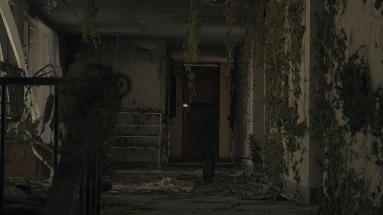 Mabagal Kung Bumagsak Ang Mga Dahon backdrop